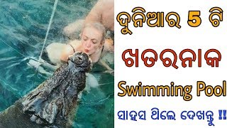 ଯଦି ସେତିକି ସାହସ ଅଛି, ତାହେଲେ ଏହି Video ଦେଖନ୍ତୁ | Swimming Pools you must visit in your life