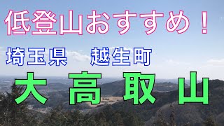 低登山におすすめ！　埼玉県　越生町　大高取山を紹介　桂木観音経由　スカイツリーも見えるよ！　〜ミニマル・ライフ　シンプル・ライフ