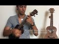 flight ukulele duc 460 sound test feat. dani usero