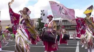 礼神伝SHALL稲毛さん　 YOSAKOIかまがや2013