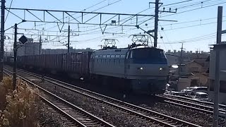 【コンテナ満載】EF66形100番台127号機＋コキ20B(両)が南流山駅1番線を通過するシーン(72レ、吹A7、コンテナ輸送)