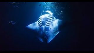 Big Island: Most Amazing Snorkeling (Manta Night Dive)