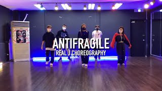 REALDANCE 전주점 REAL J 코레오 #lesserafim  #antifragil 전주댄스학원 / 군산댄스학원/ 정읍댄스학원 / 춤의정석리얼댄스