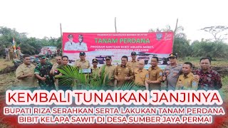 Kembali Tunaikan Janjinya, Bupati Riza Serahkan Serta Lakukan Tanam Perdana Bibit Kelapa Sawit