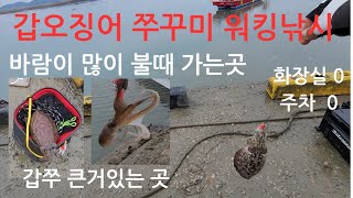 비,바람 많이불때 가는곳 갑오징어,쭈꾸미 큰사이즈나오는곳 갑오징어,쭈꾸미 워킹낚시  가경주   당암포구