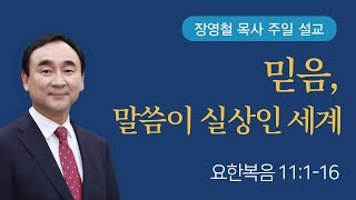 믿음, 말씀이 실상인 세계 - 요한복음 11장 | 기쁜소식전주교회 2025년 2월 16일 | 장영철 목사