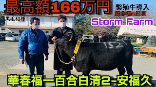 【熊本県家畜市場】最高額で子牛を買った！！