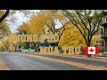 Đường Phố Mùa Thu |Cuộc Sống Canada| Saskatchewan