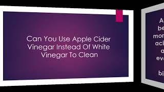 Can You Use Apple Cider Vinegar Instead Of White Vinegar To Clean