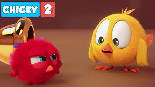 Wheres Chicky? Funny Chicky 2021 | POYO IS MAD | Chicky Cartoon in English for Kids
