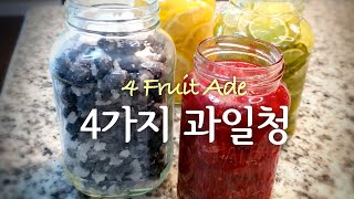 4 Fruit Ade (Lemon, Lime, Blueberry, Raspberry)