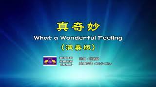 真奇妙(演奏版) - 豐收詩歌 What a Wonderful Feeling   詞曲：邱錫勛   編曲製作：Kristi Chiou