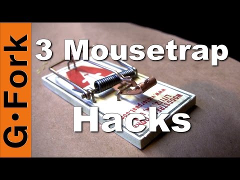 Get Rid Of Mice! | 3 Mouse Trap Hacks | GardenFork Get Rid Of Mice! | 3 Mouse Trap Hacks | GardenFork