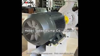 China Tobee® 100% interchangeable Sulzer APP series pumps and Spares Manufacturer