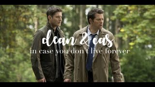 dean & cas || in case you don't live forever [+15x09]