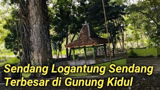 MENILIK MATA AIR ABADI SENDANG LOGANTUNG SENDANG TERBESAR DI GUNUNG KIDUL