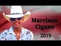 marciano cigano 2019