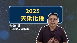 用紫微斗數看2025年_天梁化權｜王嘉宇未來教室