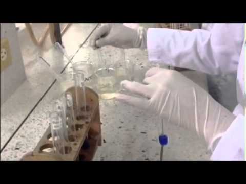 Laboratorio Identificacion De Carbohidratos MedicinaUCC. - YouTube