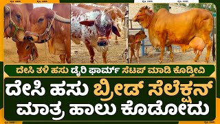 Sahiwal cattle Farming | Tharparkar cow | Rathi cow | Dairy farming in karnataka