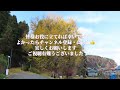 【青森県深浦町】2022年11月下旬樹齢1000年以上の日本一の大イチョウを見に行ってきました