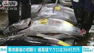 マグロ最高値は3645万円　築地市場で最後の初セリ(18/01/05)