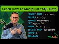 Master SQL DML & TCL Commands (INSERT, UPDATE, DELETE, COMMIT, ROLLBACK)