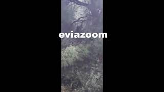 Οντάθι Δροσιάς: Αποκλειστικά στο EviaZoom.gr ο κυνηγός που εντόπισε τον κρεμασμένο άνδρα