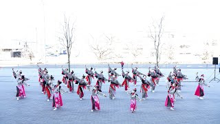 天空しなと屋 茜丸 ✖ 明星 🎵拝啓、ココロフルサト江 📍サクラタウンよさこい～師走祭～ (ところざわサクラタウン/第1部) 📅2021-12-12T12:21