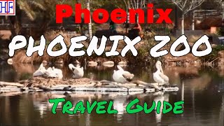 Phoenix, AZ | Phoenix Zoo (TRAVEL GUIDE) | Episode# 3