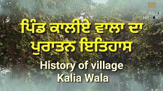 ਪਿੰਡ ਕਾਲੀਏ ਵਾਲਾ, ਤਹਿਸੀਲ ਮੋਗਾ ਦਾ ਪੁਰਾਤਨ ਇਤਿਹਾਸ, History of village Kalia Wala Tehsil Moga.