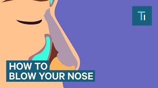 You've Been Blowing Your Nose All Wrong