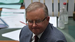 'Incompetent and incapable': A spotlight into Albanese's 'failure' as a politician