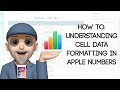 Understanding Data Formats in Apple Numbers