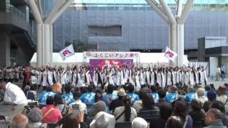 チームJTB　　ふくこい2015