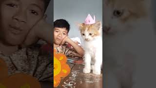 Murid  barunya unyu-unyu(@arizasatifa212) #kucing #vidio #lucunya #kucinglucu #funny