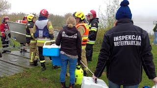 Gmina Stare Pole. Ćwiczenia służb w Zakładzie Produkcji Wody w Ząbrowie. Wideo