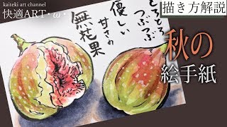 【解説】秋の絵手紙『イチジク』 8月・9月・10月（初心者向け描き方解説）