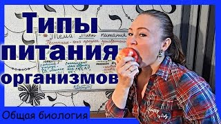 Типы питания организмов.