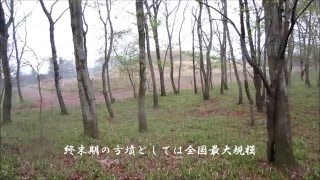 龍角寺岩屋古墳　1（終末期）（千葉県）Ryuukakujiiwaya Tumulus 1(Chiba Pref.)