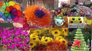 香港 維園 花市4  如何 乘地鐵 前往 維多利亞公園 資訊 HK Victoria Park Flower Market 4 How to go to Victoria Park by MTR