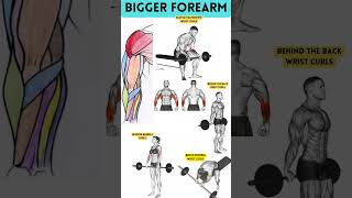Best Forearm workout #shorts #trending #forearm_workout #gym