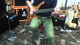 Emma-Music : test Sandberg Custom Rooster PEAR