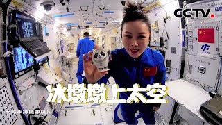 退休后的冰墩墩上太空当助教了！王亚平用冰墩墩演示牛顿第一定律 你学会了吗？| CCTV中文国际