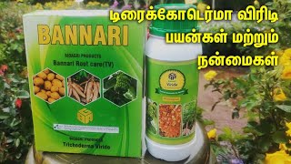 டிரைக்கோடெர்மா விரிடி பயன்கள் மற்றும் நன்மைகள்  Trichoderma Viride Uses and Benefits