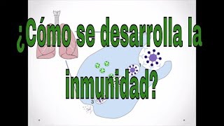 Inmunidad y covid, ¿cómo nos hacemos inmunes?, ¿y las vacunas?, ¿quién se reinfecta?