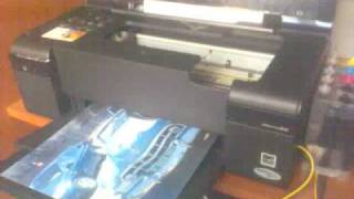 epson d120 ciss