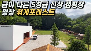 🏕️평창 휘게포레스트 l 여름에 무조건 가야하는 5성급 신상 캠핑장