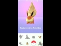 pokemon go 伊布進化測試 eevee evolve test