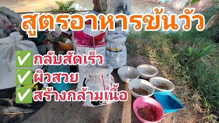 สูตรอาหารวัว